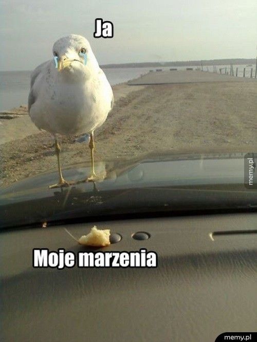 657ee2fd-58b4-4064-be56-59c4240bd06b