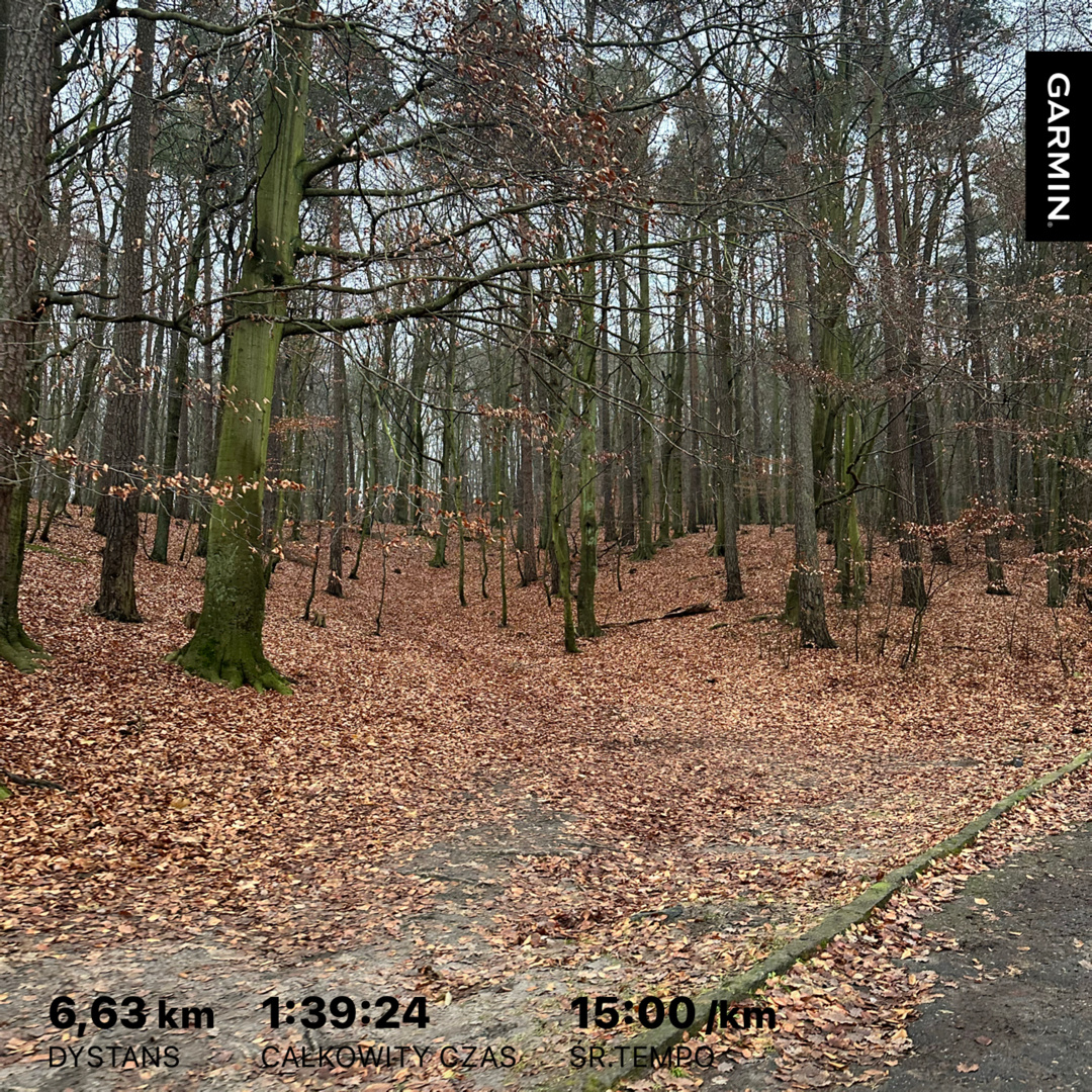 f5faa822-91ed-4b73-8433-c9104aaeb8ba