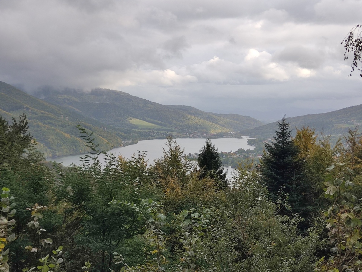 a0a4c9ac-62a8-4e06-a219-560b29fd001e