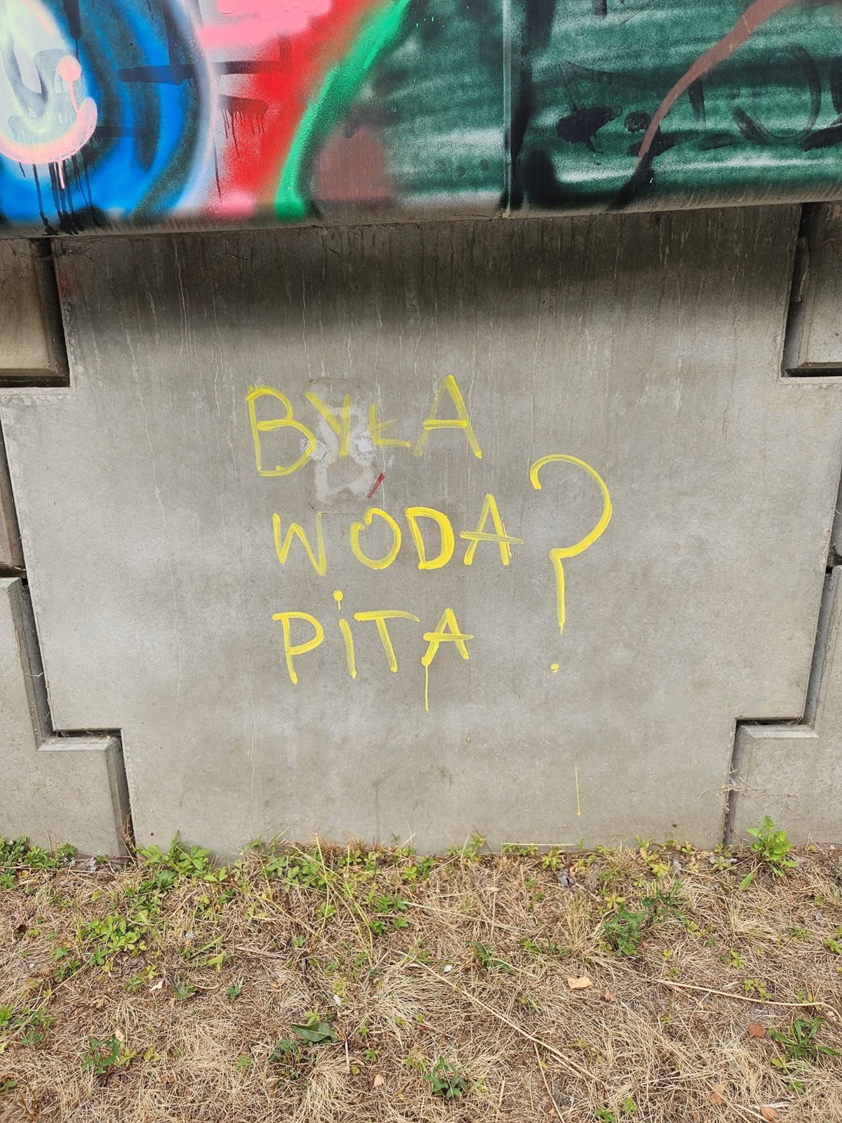 ba96e45f-37f9-4f44-9643-1a41f64ed4b4