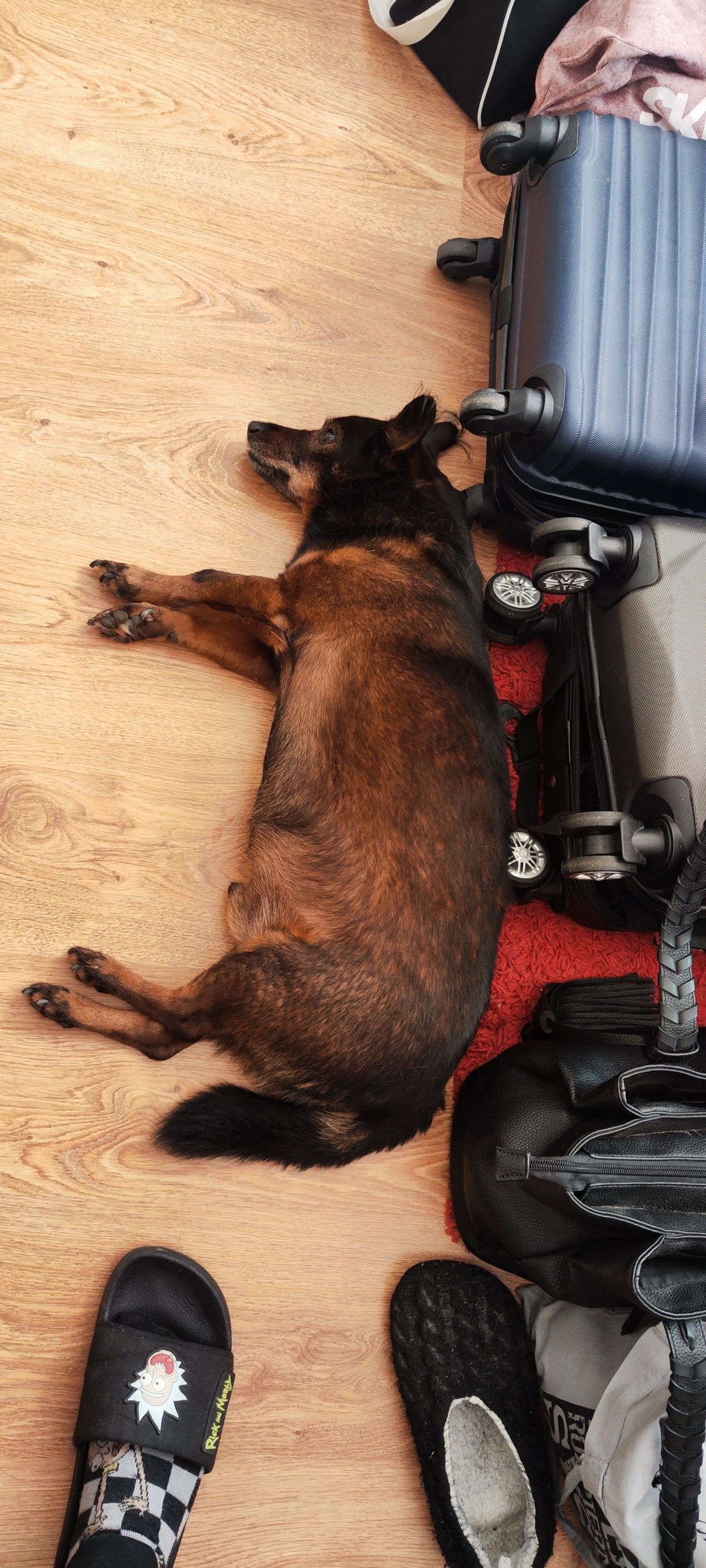 3c5d2c30-1bc8-44a8-b760-d70698caaa61