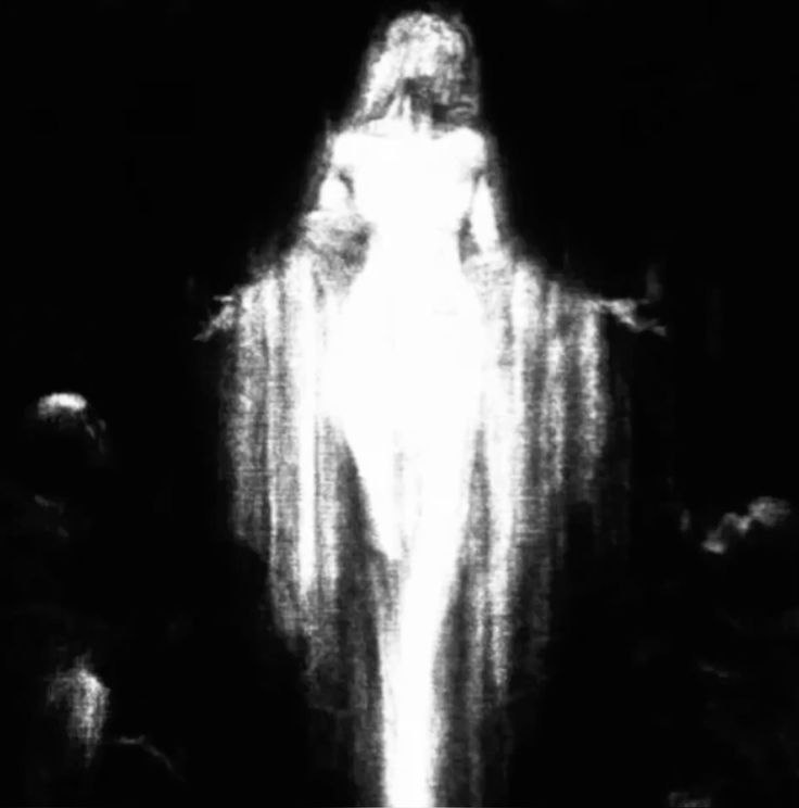 cfa0acd1-fffa-4d2b-a4c3-2f4fdf9634ee