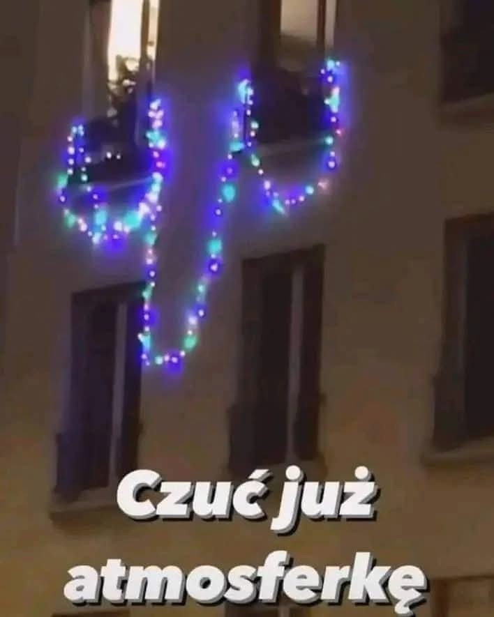 3ae69053-1d78-40dd-b749-13a422f3d3d3