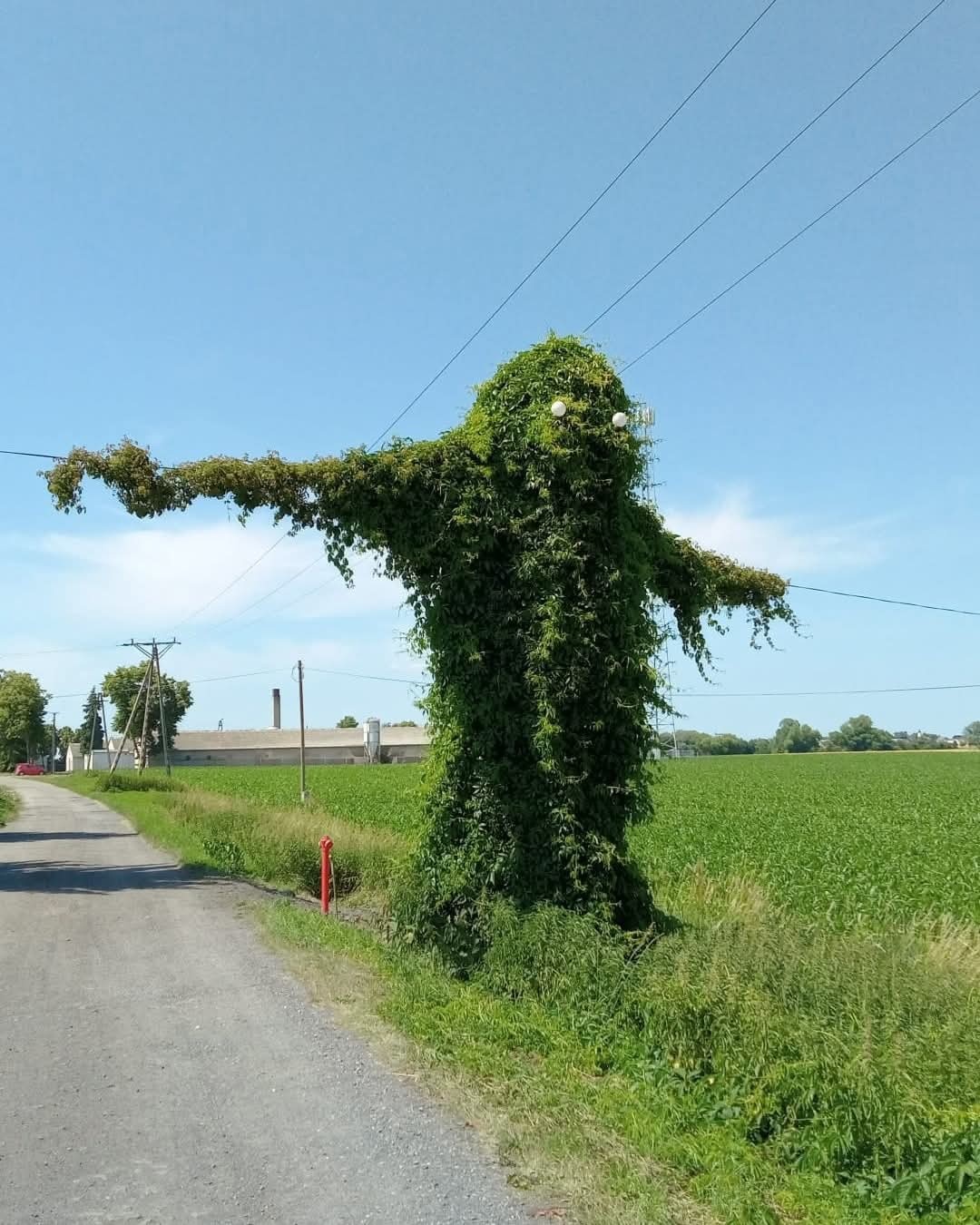 f14626c8-edff-40b6-9ea4-124002d8d9a4