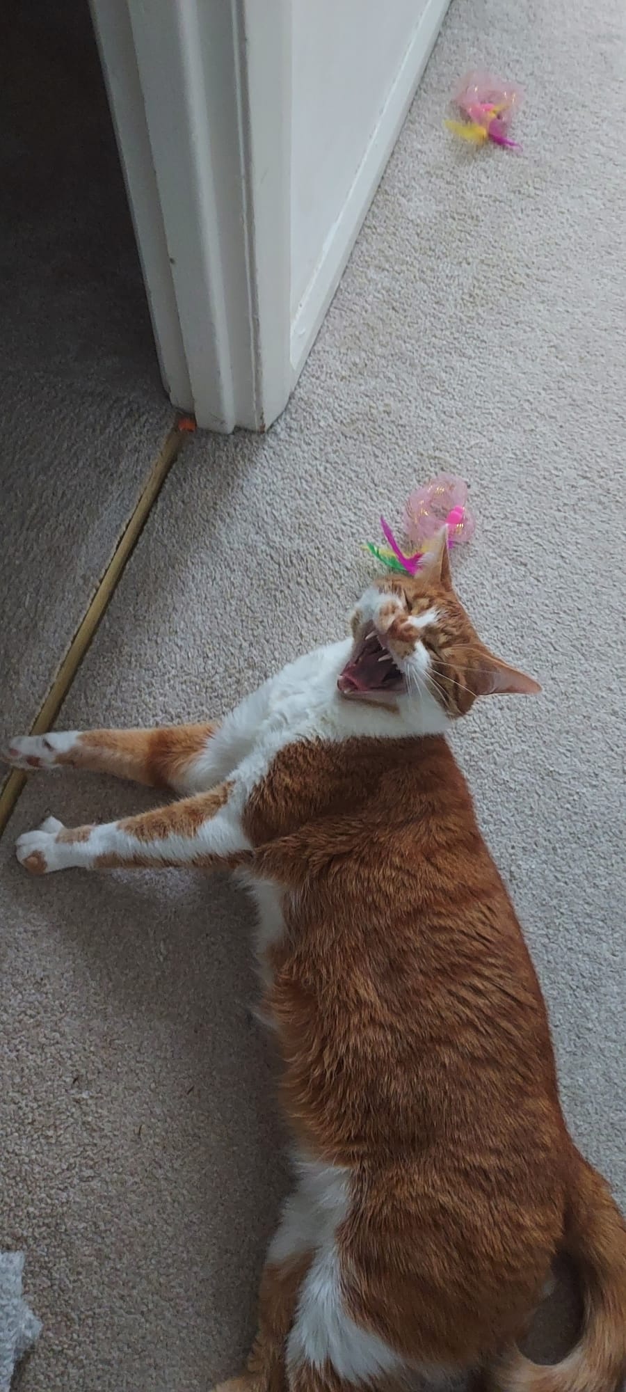 b881807d-6559-44d1-b868-43e9918c045b