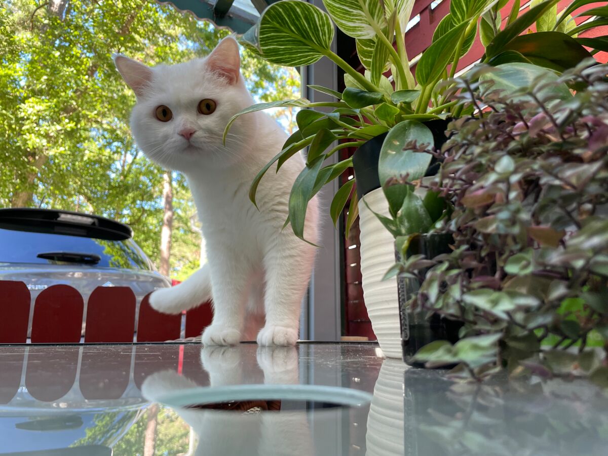 75f3d77f-e488-4283-998c-5624036aa411