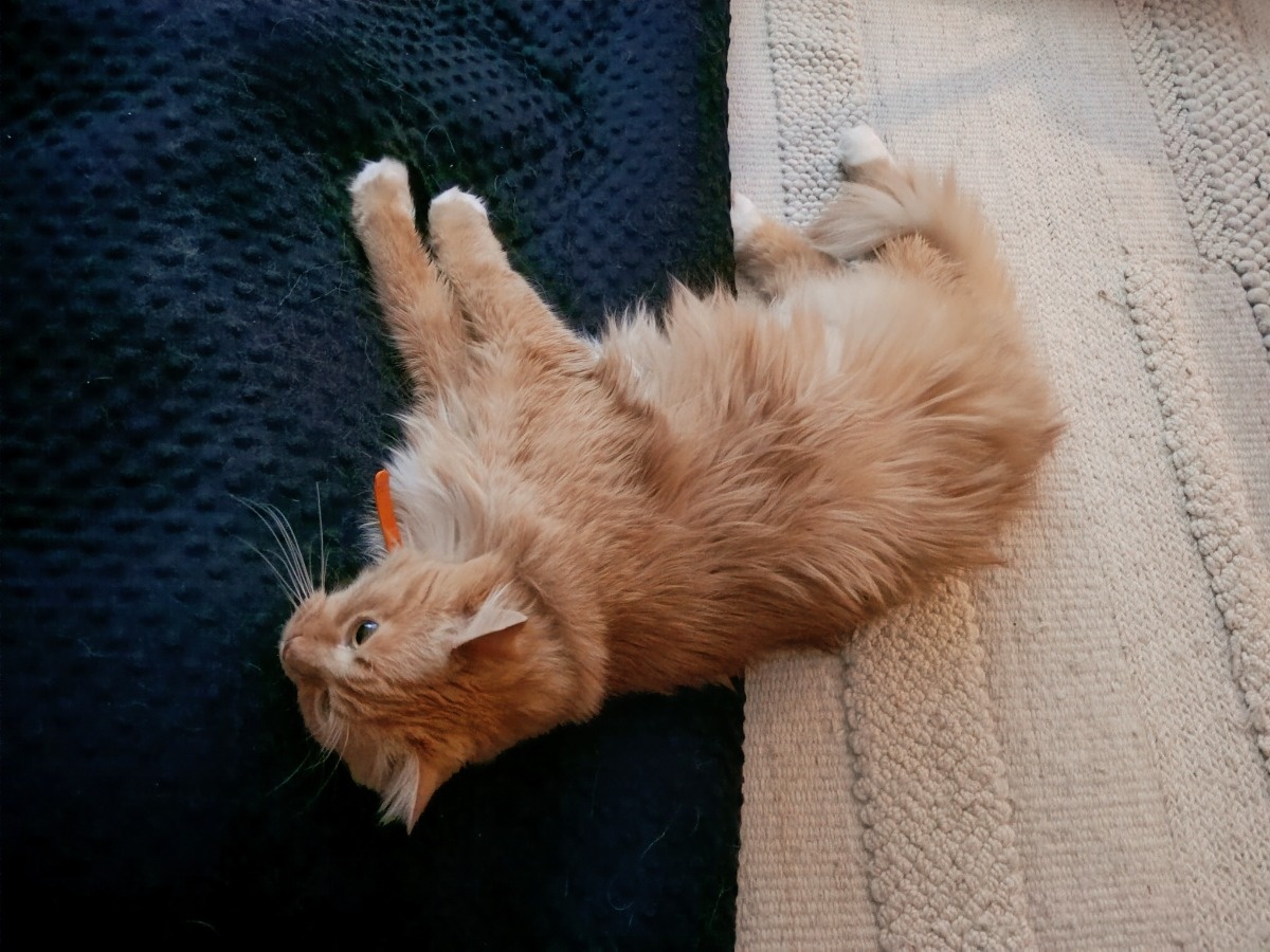 04e48fdb-7ae5-4b77-aa4c-35df4bb8d9ca