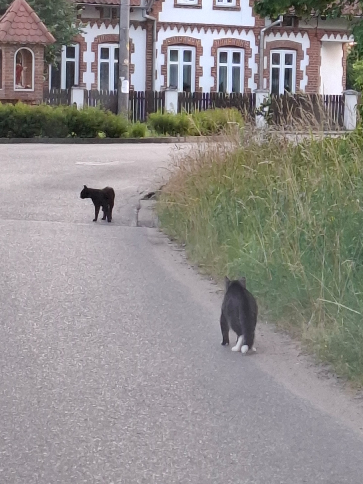 ce3e6358-ad3c-48b7-9389-62550aaca395