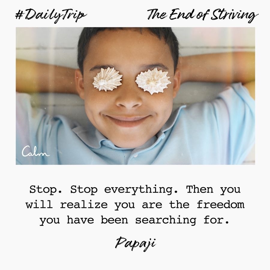 8aa11b2b-09cd-49fc-a36c-439f04176805