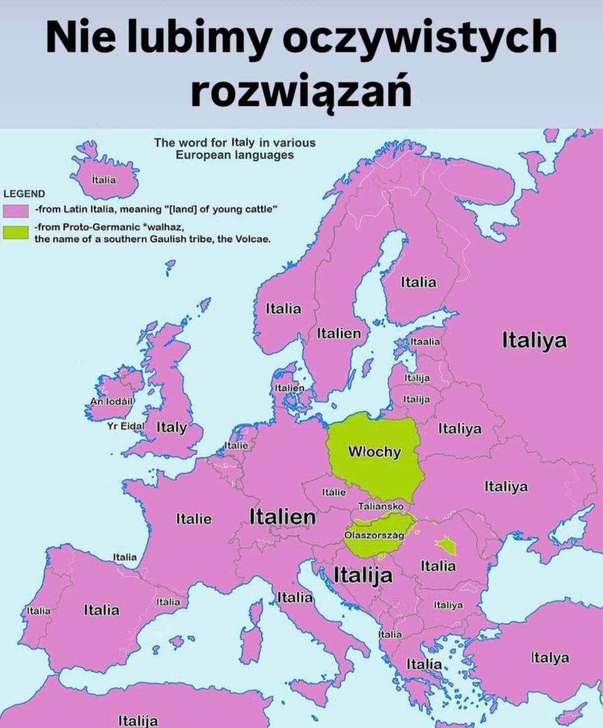 d463dcb3-63c2-48d0-a57b-a3e08bfb976d