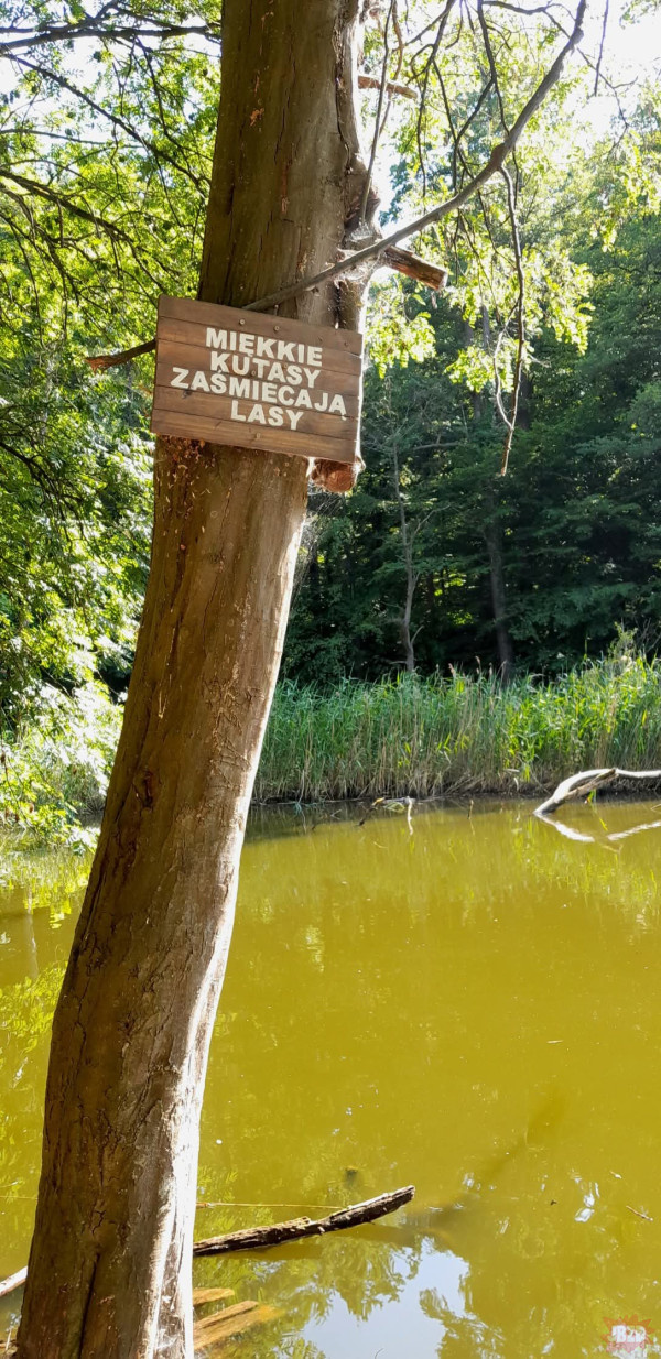 2281ba2d-defc-4388-b79d-90acd66dcb6e