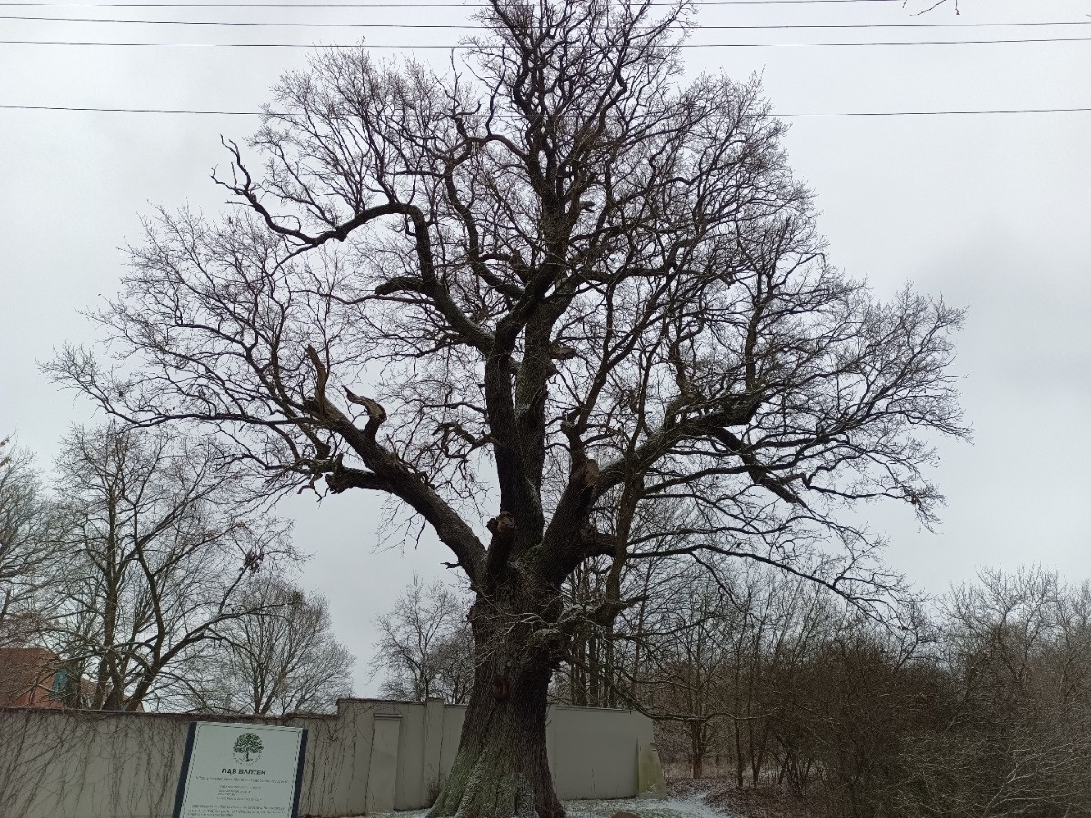 1937cd50-98e1-4f92-b4af-3f67deaa8344