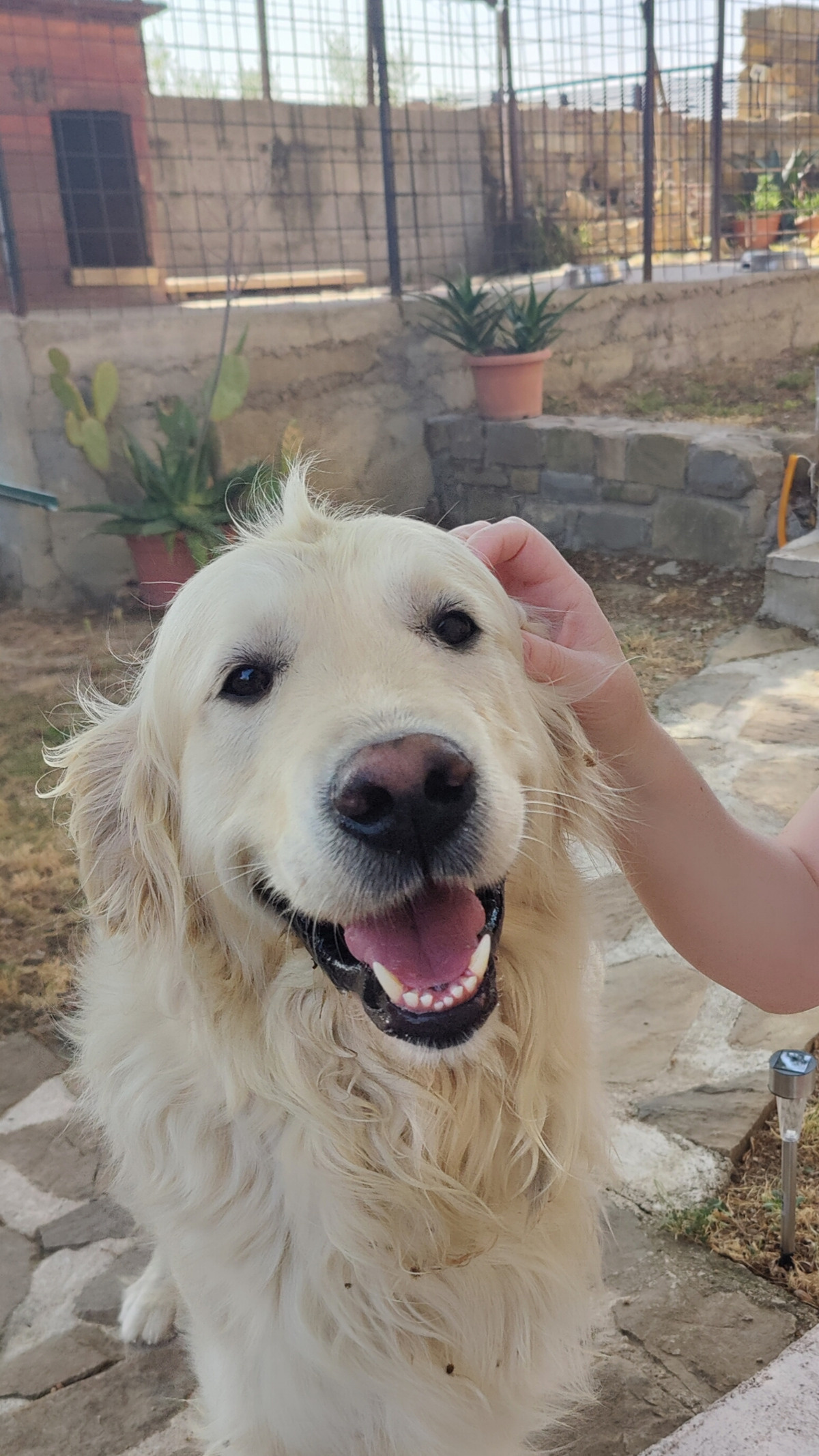 922c9fcf-cd99-4d2f-aabc-c6e3a43c3eae