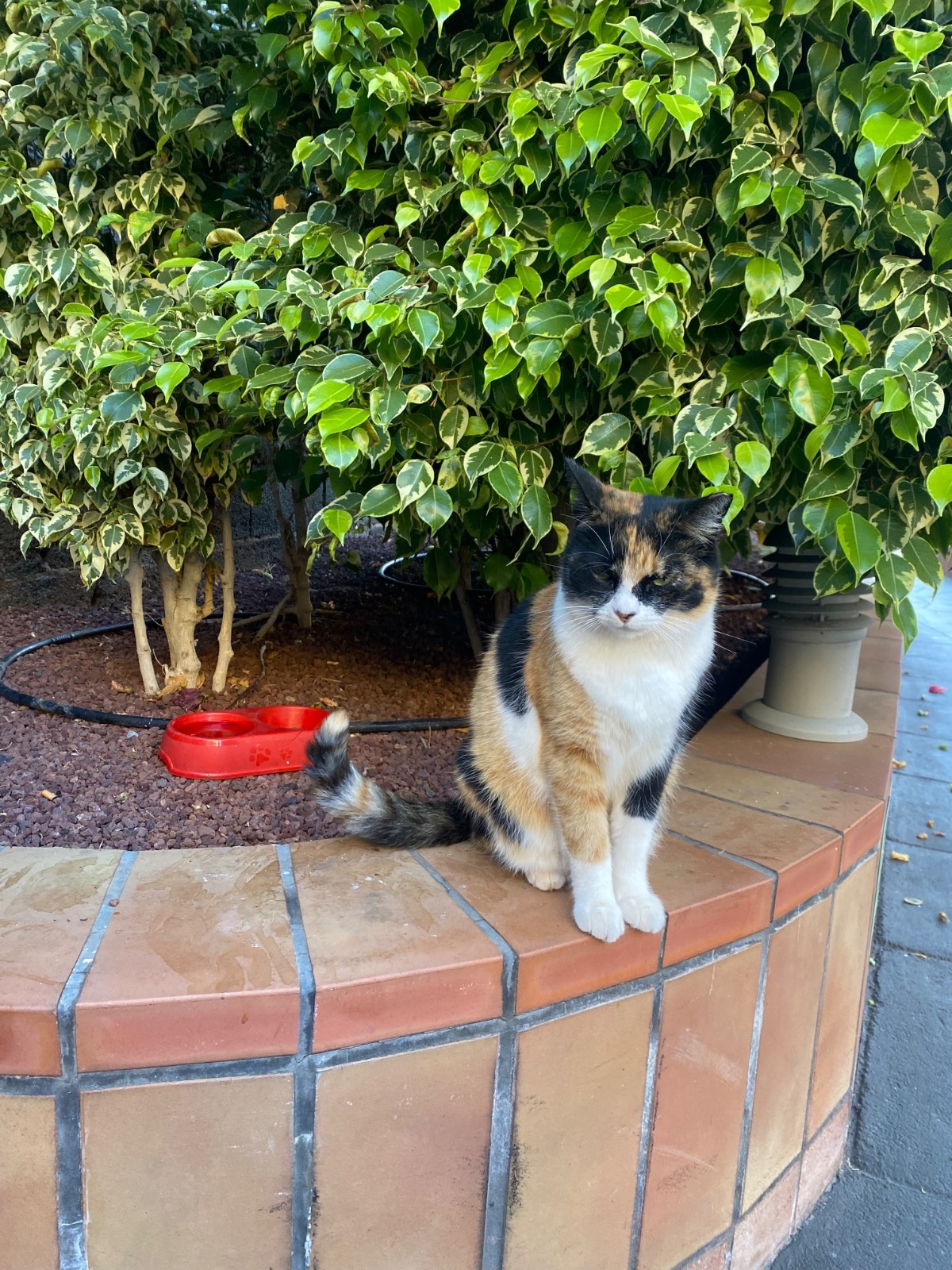 19611ae7-96c2-43d9-a507-b03969909823