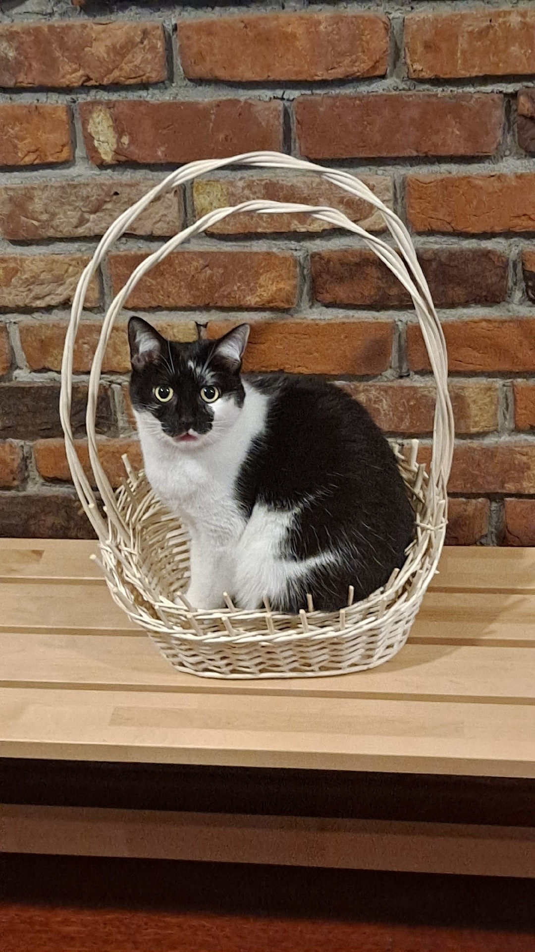 f75b0165-55f5-40b1-a95a-62f4db5d737a