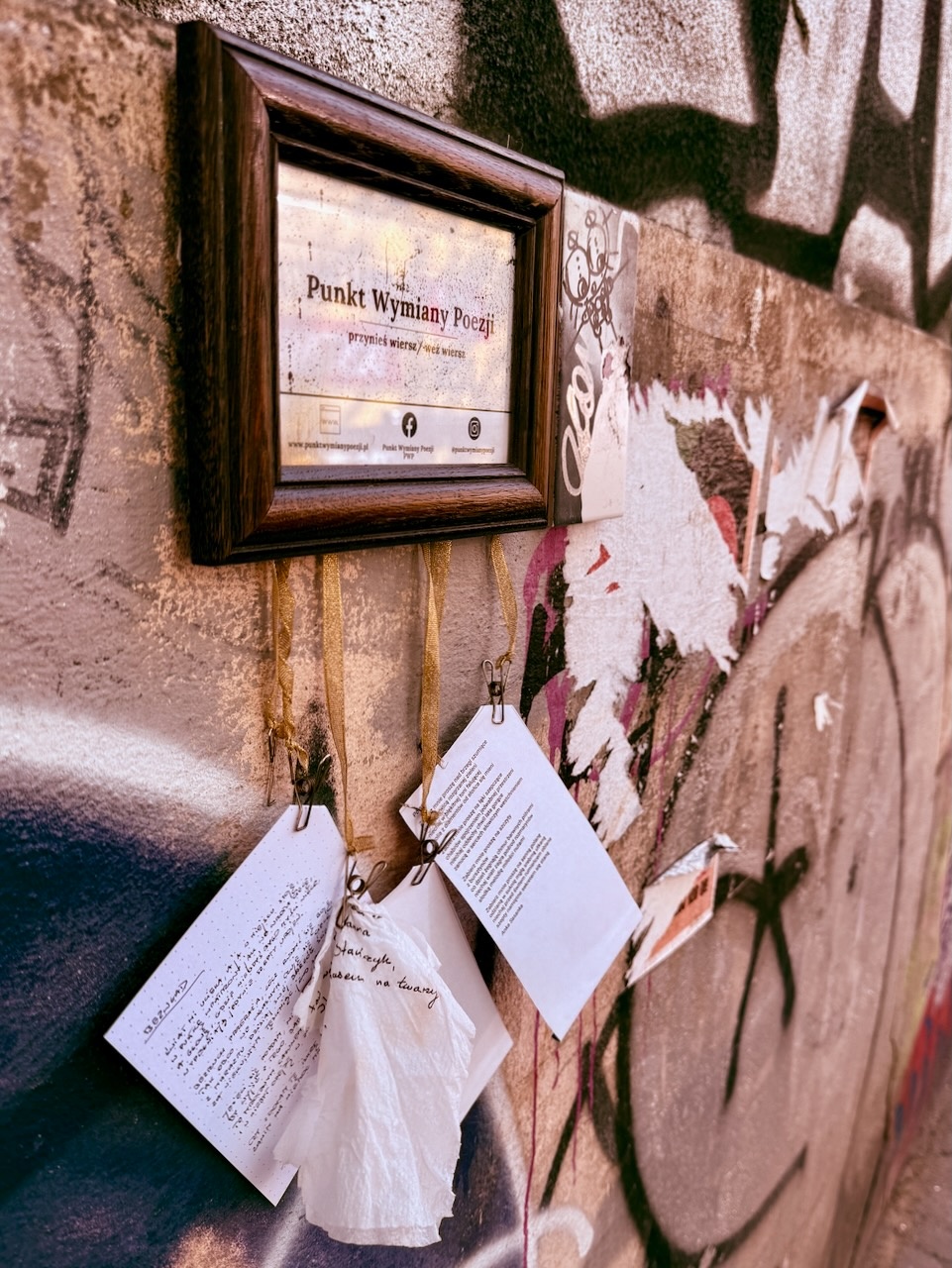 99644015-114a-4bcb-be3a-a00f70ed647f