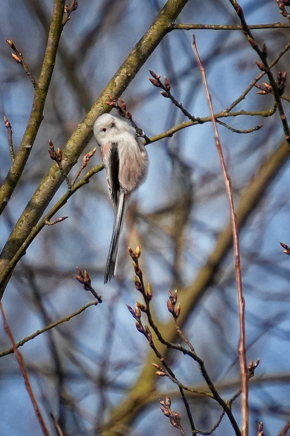 1fc134ca-0acd-475e-9152-9c202c87edfd