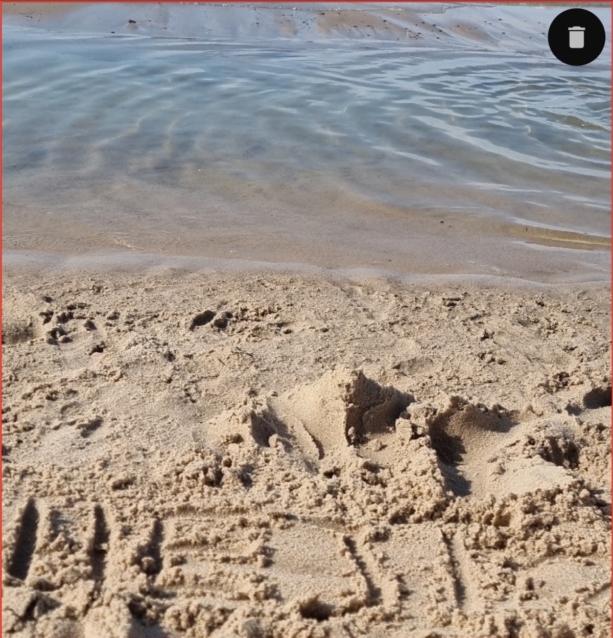 04997381-1733-4d6e-8233-6a2295797f5a