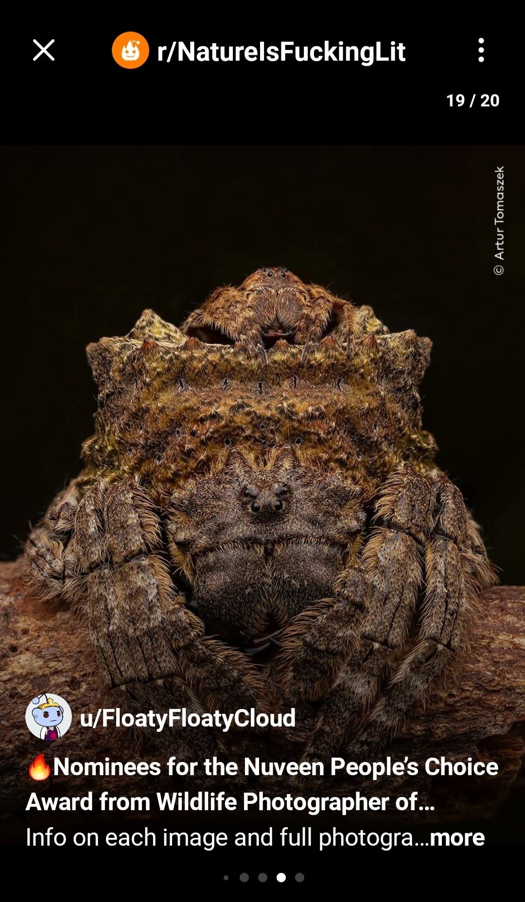 6398ffcd-95ad-44e1-9a47-6adf00b3de3c