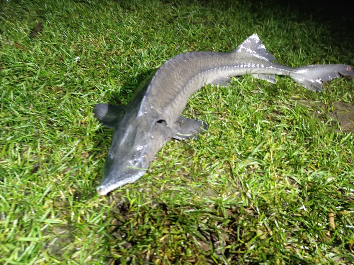 0f644a4d-142c-4bea-88db-7da364b7f9f7