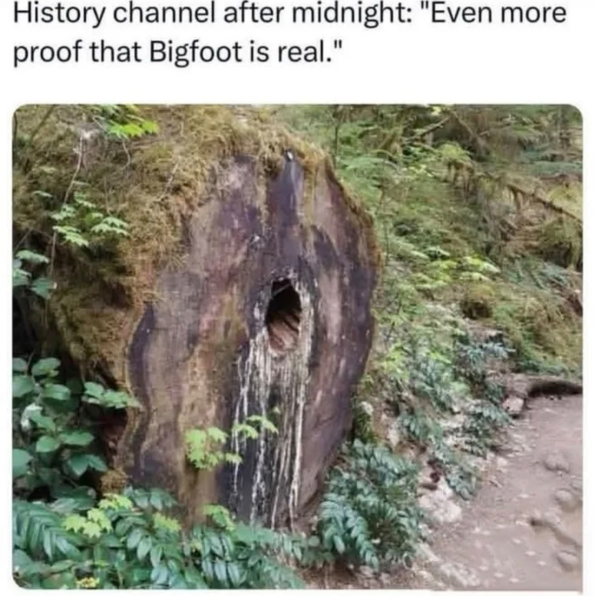 f02f26f3-44dc-46cb-9439-f46979fbc04d