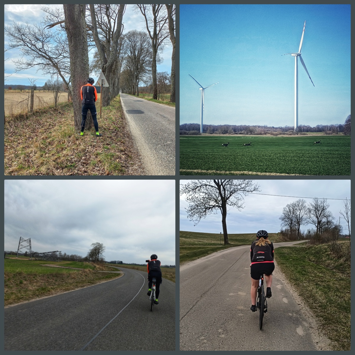 f2ae3c1d-b1d8-432d-a5c0-465b00a2f0e6