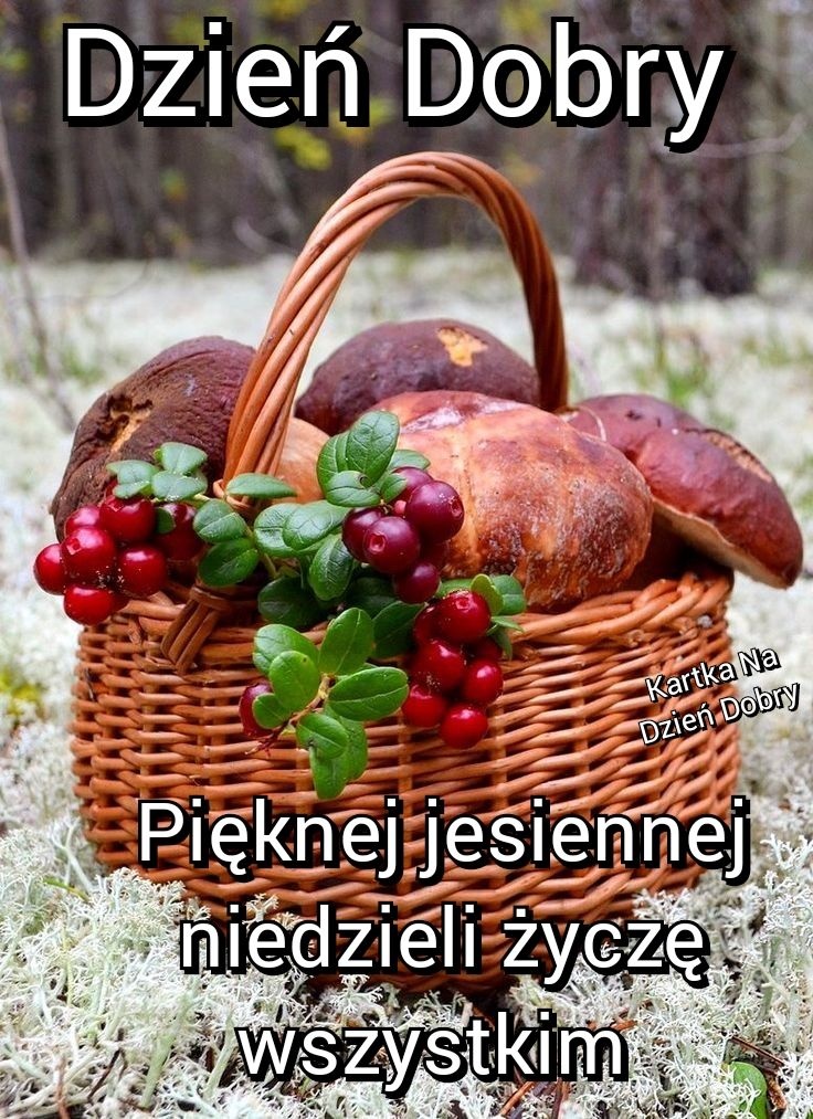 2eedabc4-15bd-4461-9124-fafe7fe4fd38