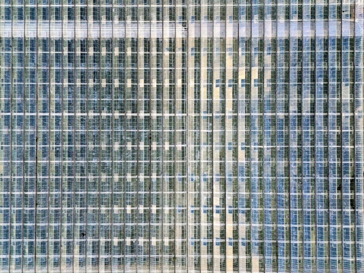 38233eac-0844-4d11-ad8e-26a2c1bb953d