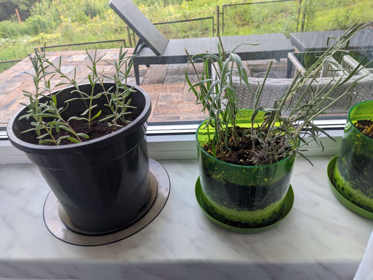 cb570ce4-fa8f-4bb5-8e67-24581152bb15