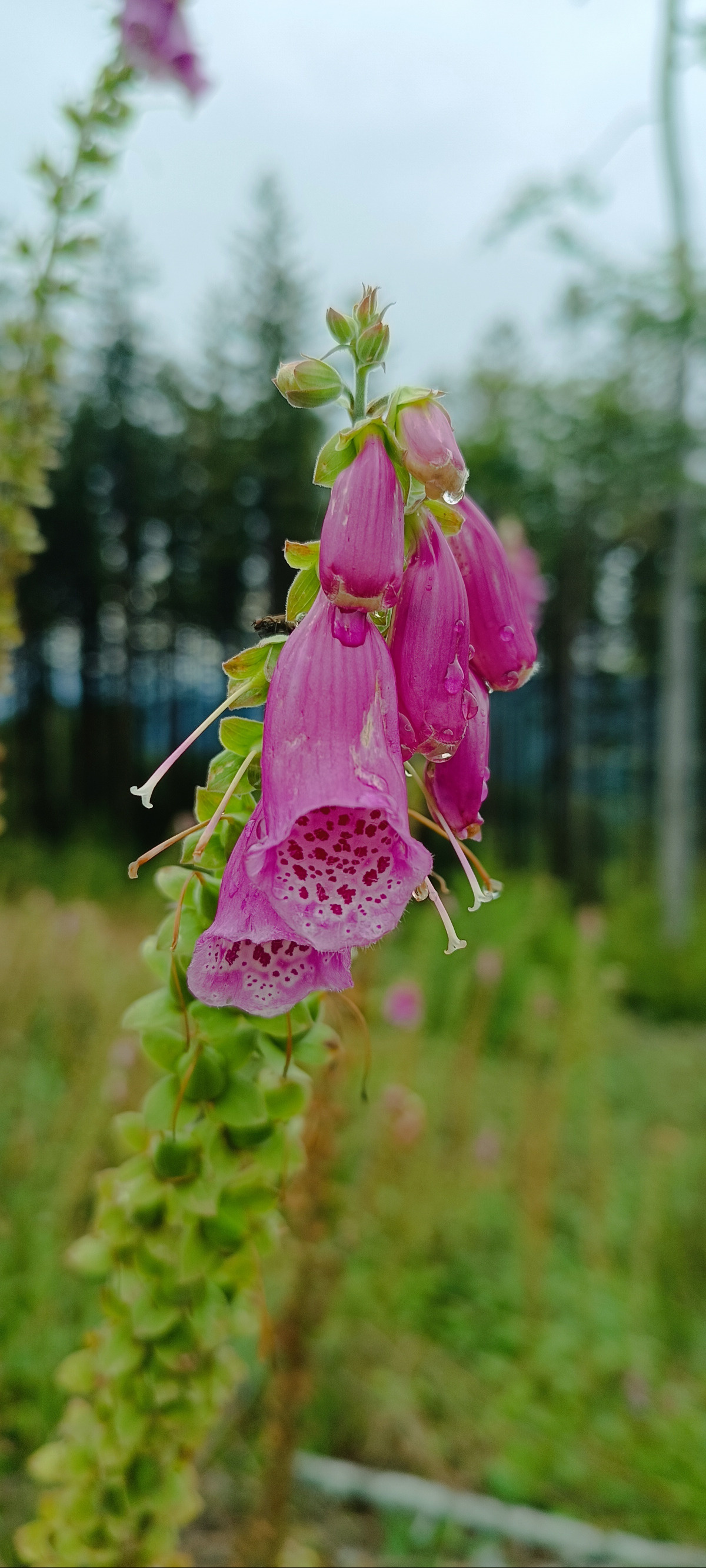 7ffa6480-5c6c-4128-97db-edf02b02524e