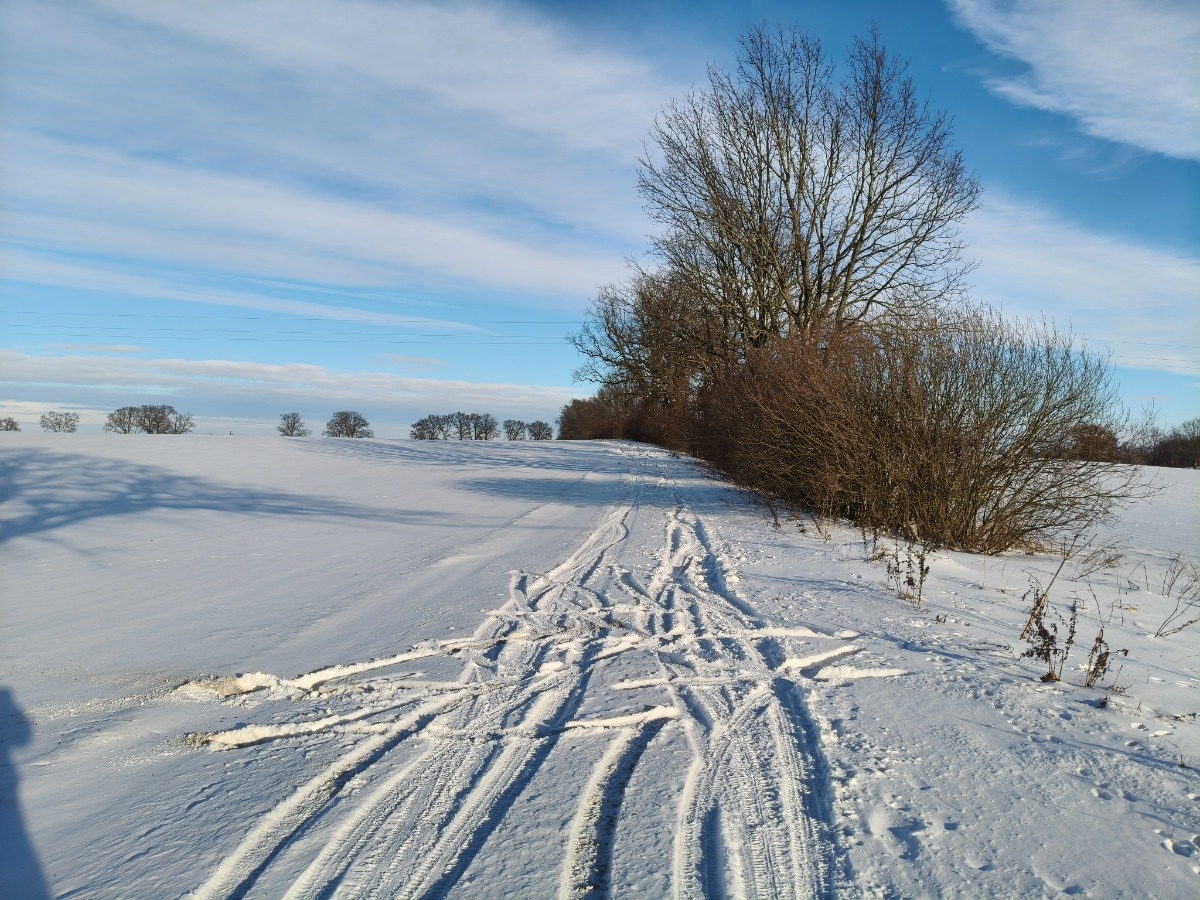 dd973945-5787-484e-9a5a-0d19fcda4171