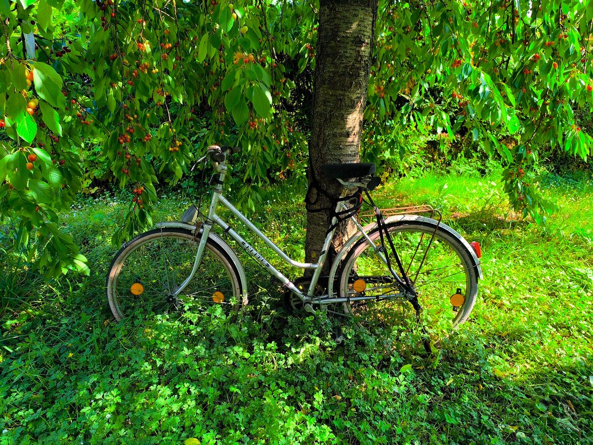 2e1b2f88-4b31-4151-8000-a5bcc154ae0b