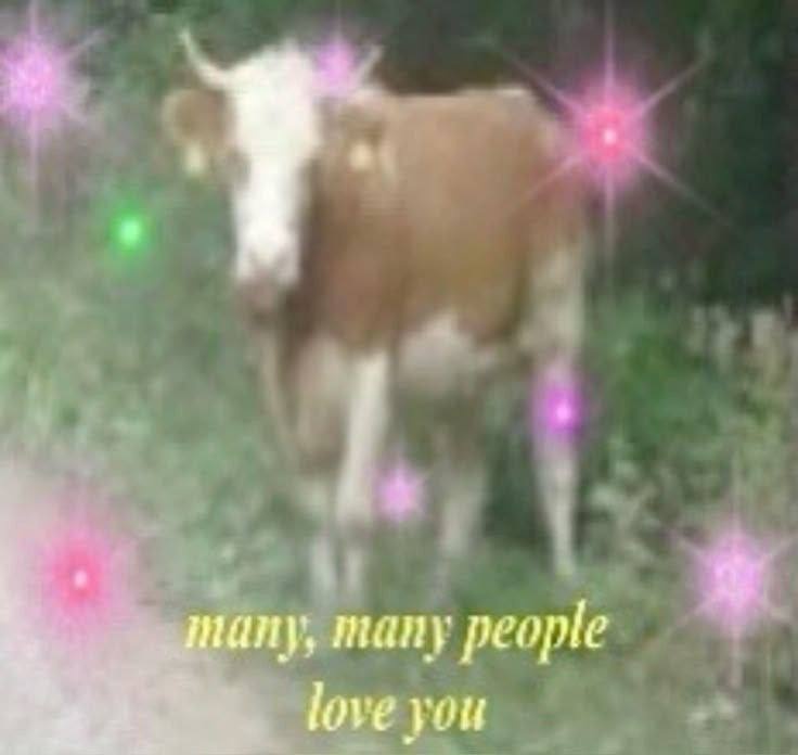 69387091-2c4e-4d47-a244-595cd5f53eda