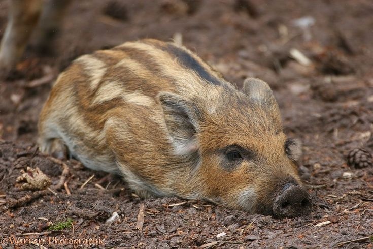 37891b1b-ec5d-4200-8d96-711a6e4acab4