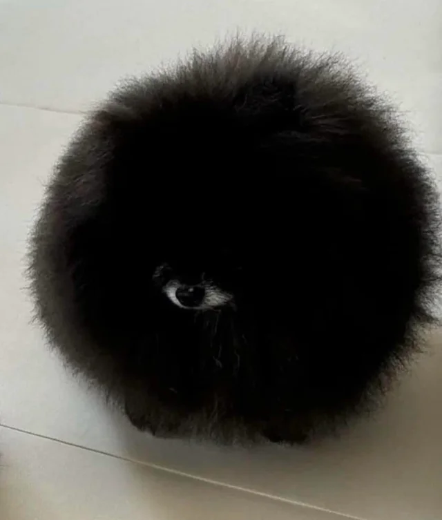 8441d279-d525-4c95-b38e-9583a639f151