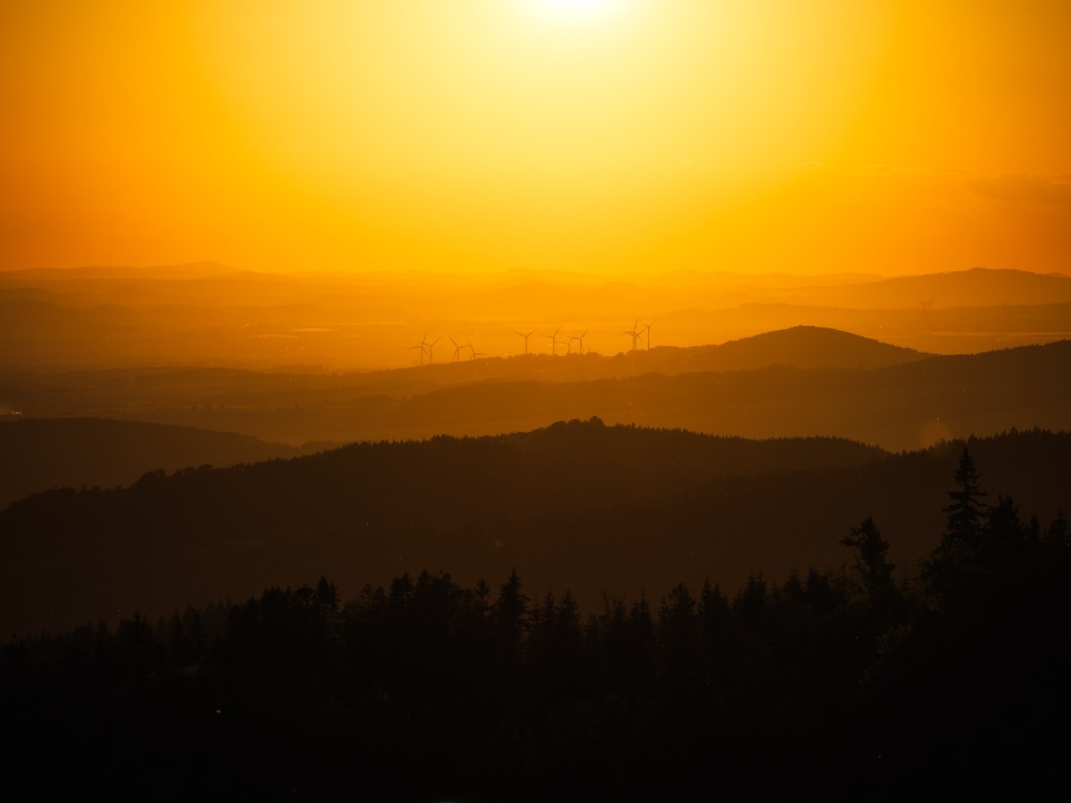 efc5bd0b-2c03-4202-8ff1-72a100847161