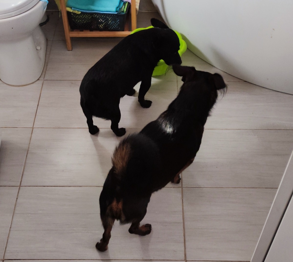 26b34d2b-bcd9-46ad-81d9-431336e83eef