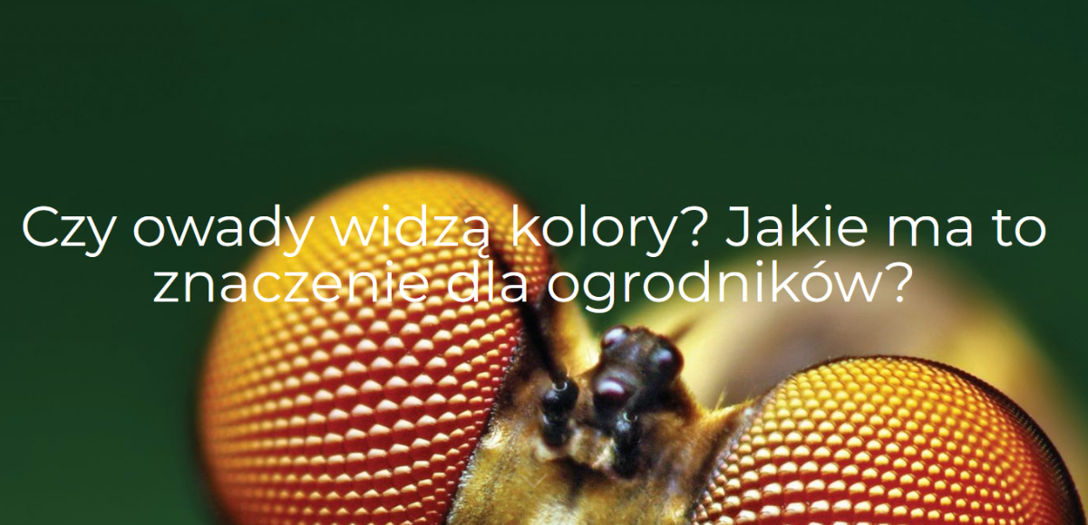 aada6abb-6d94-4777-ab24-f65e888371cc