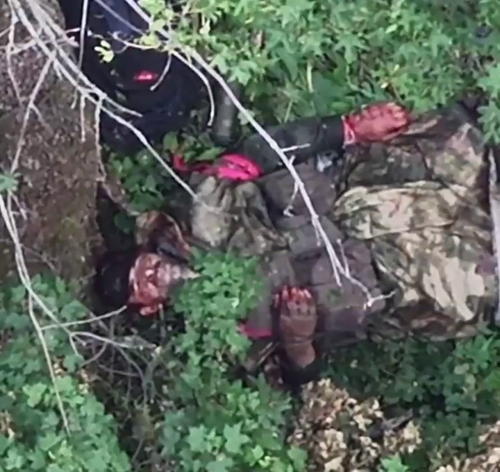 026306e6-7a66-4a3b-92a9-c10b6a70ff4e