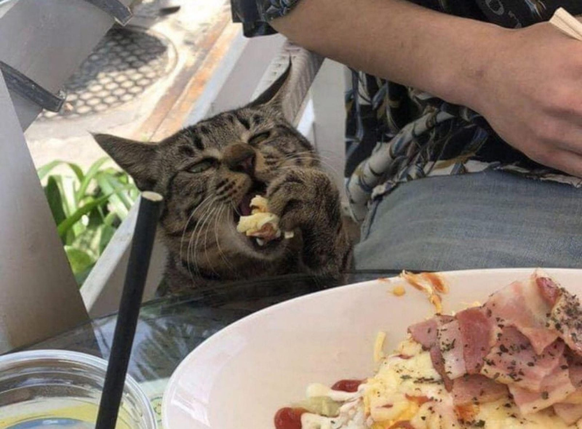 825dae04-ccd1-4b83-84d5-1649869b2faa