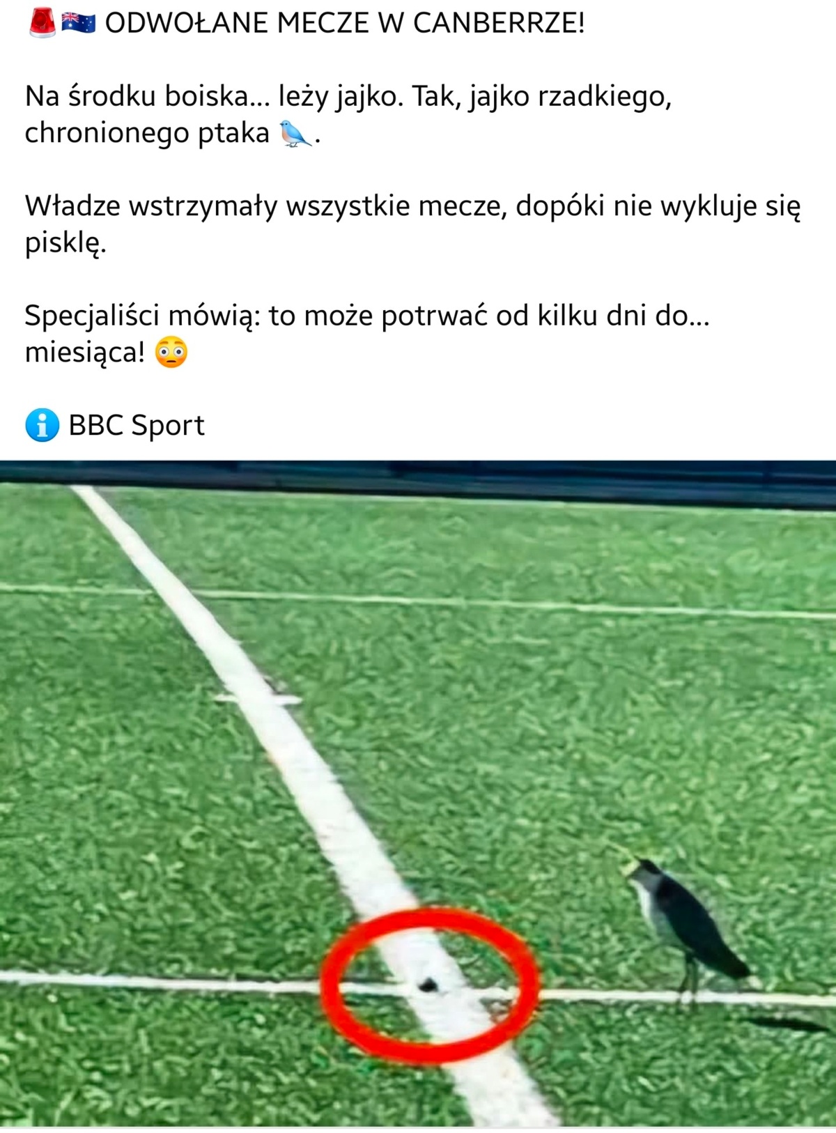 9034de6a-5efb-4614-8040-6ecbc434aeee