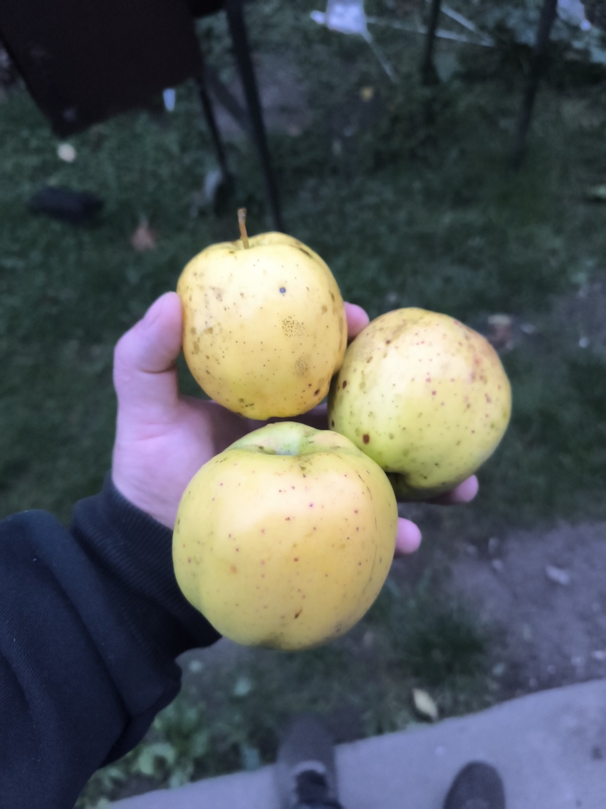 0dc8981d-1e47-4609-9ff2-0f2a7bb917f1