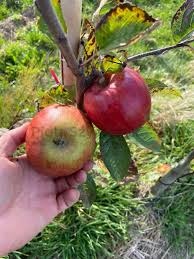 b2ff651a-adf5-4b99-9c3e-45f80ee5a9b3