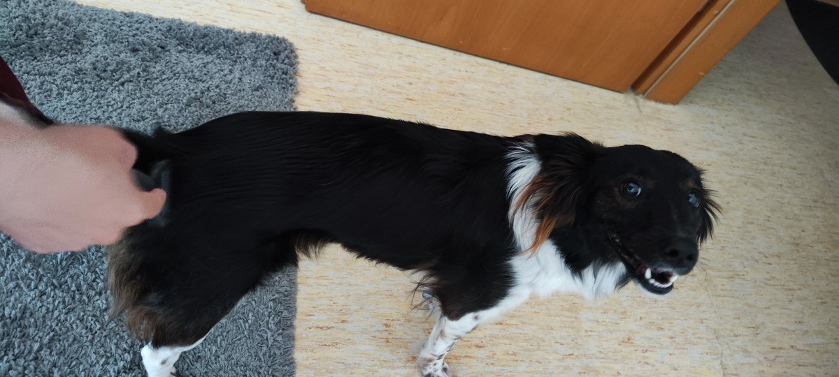 3438d9e6-76c3-4372-824e-e6f19158b59a