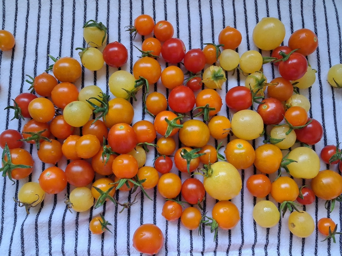 cc5e1053-3c23-42d3-9de0-e660c8e0c260