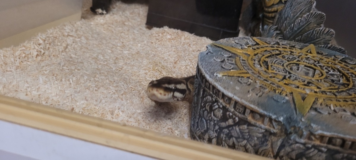 7d4f8f1a-0901-46f1-b8f6-9086ec39212b