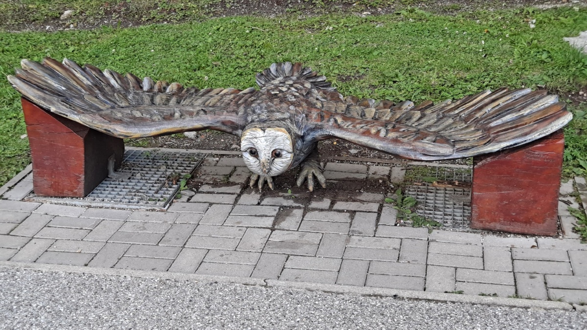 6aa41ee4-eb76-41a6-a4f5-c7d7b5b06a2b