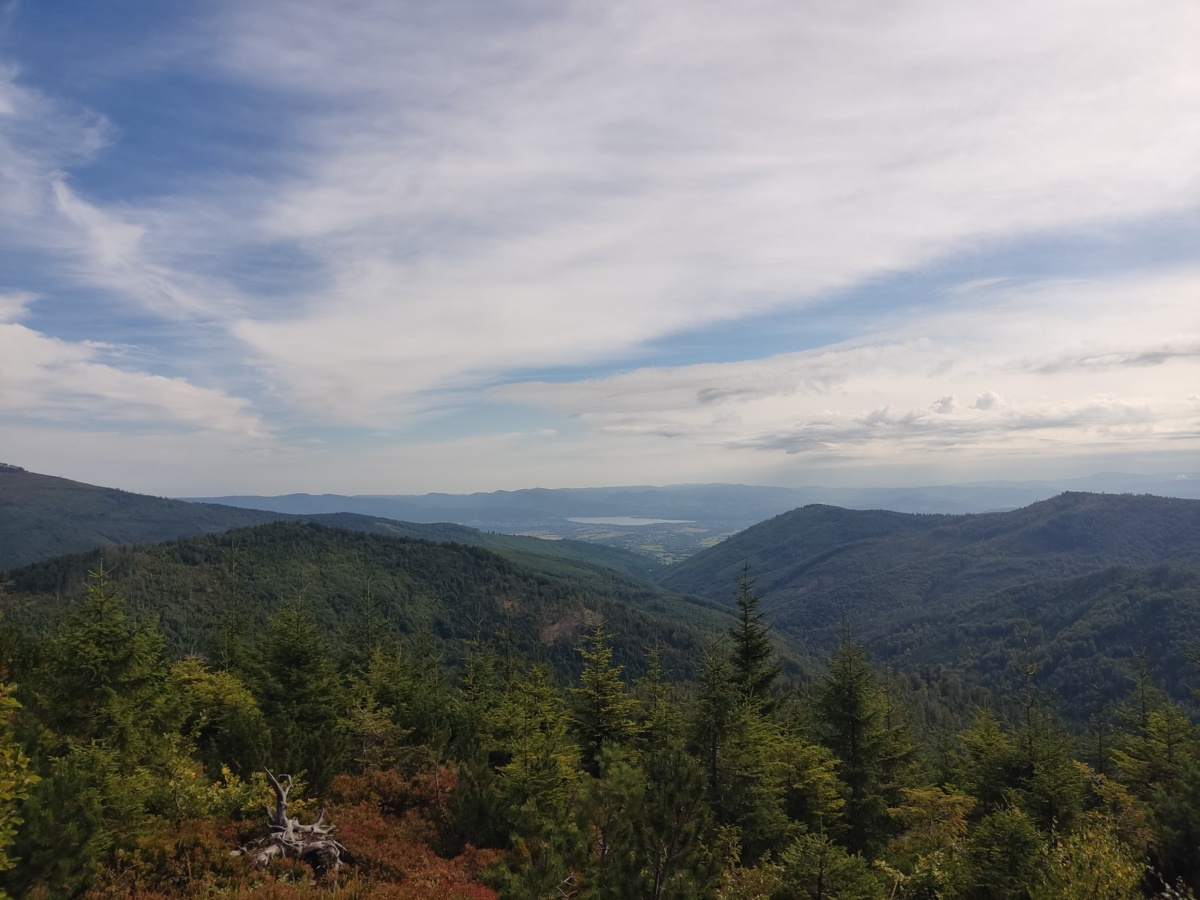 edff5569-0e42-46ec-a8b3-c2c0c030a11f