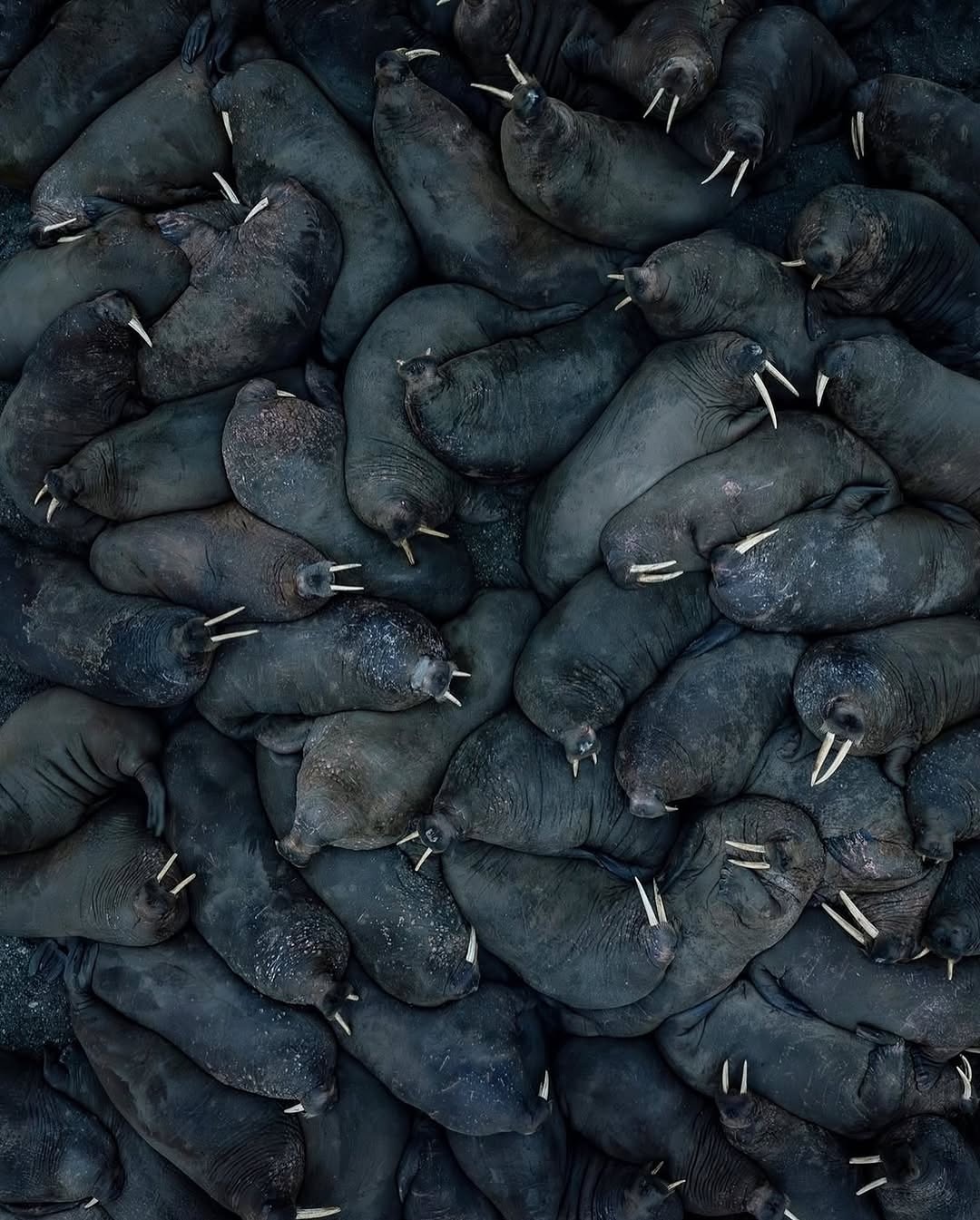 51a1cd45-459d-4f69-8ac3-7fed4b4f79e0