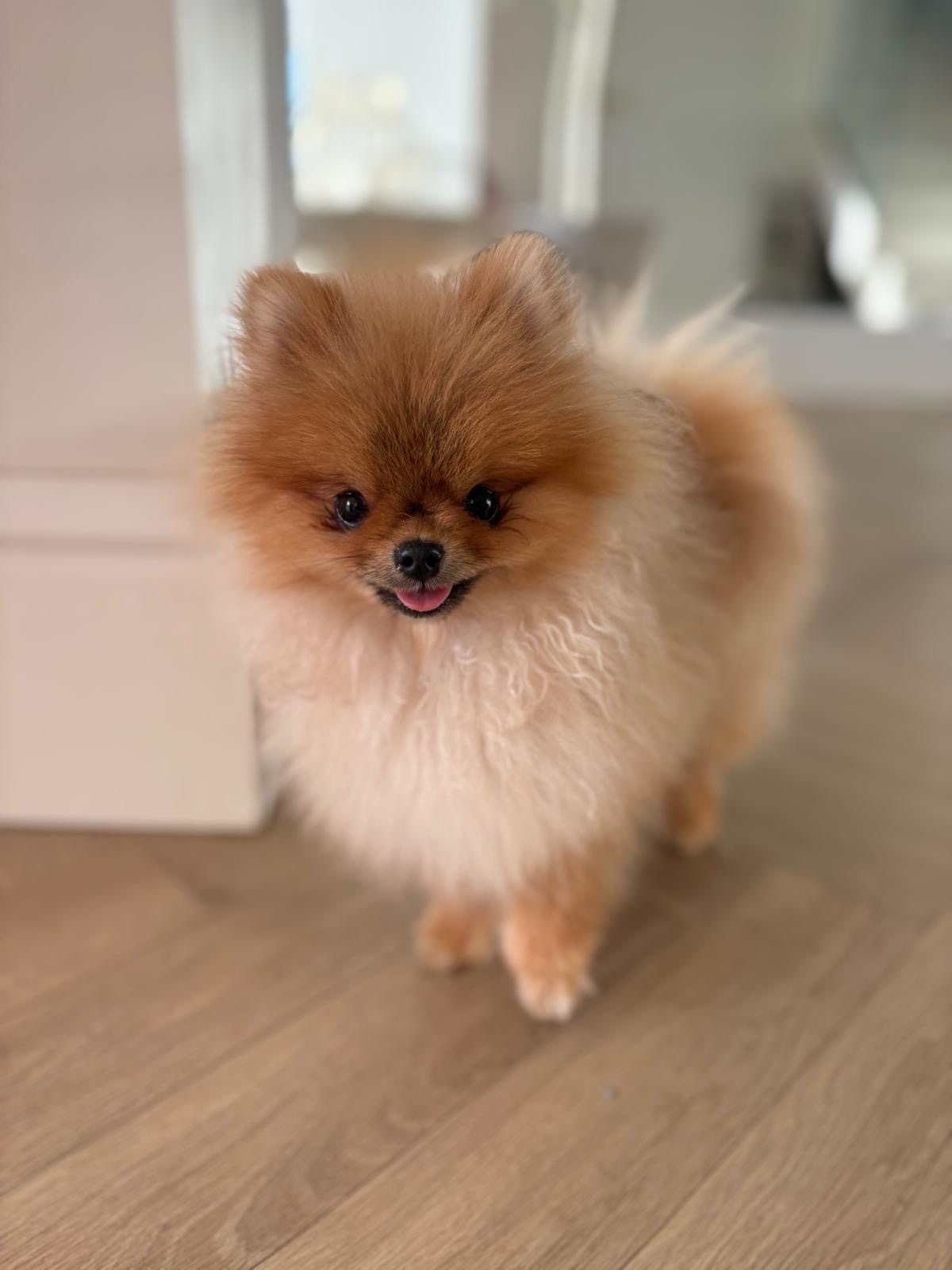 cde679e2-fd04-4194-8fcb-4294fa5600d3